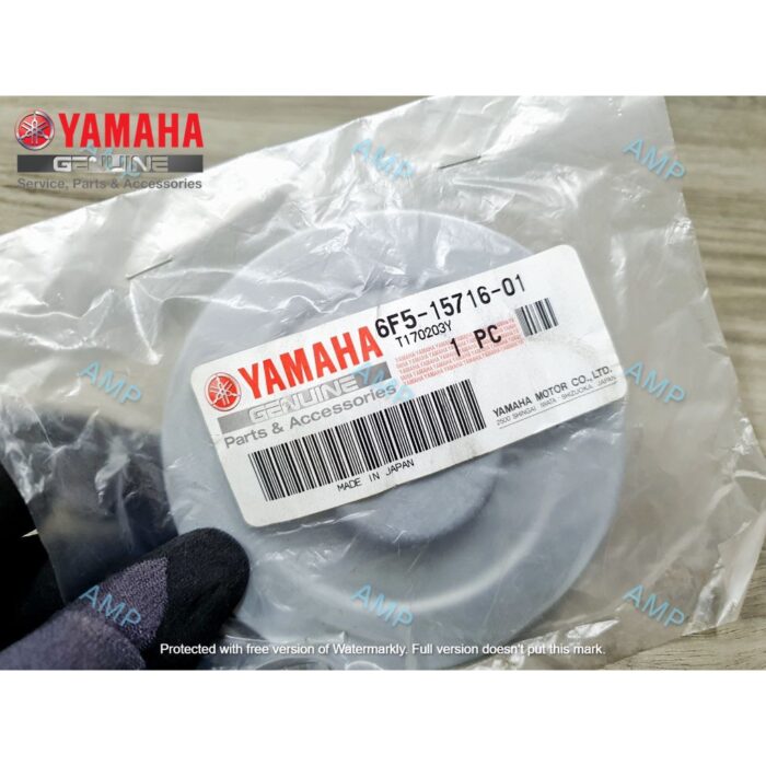 YAMAHA DRIVE, PLATE #6F5-15716-01 (E40J)