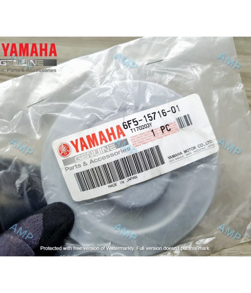 YAMAHA DRIVE, PLATE #6F5-15716-01 (E40J)