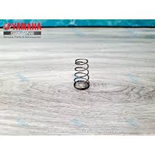 P/N#90502-10M04-00 Conical Spring - Yamaha outboard