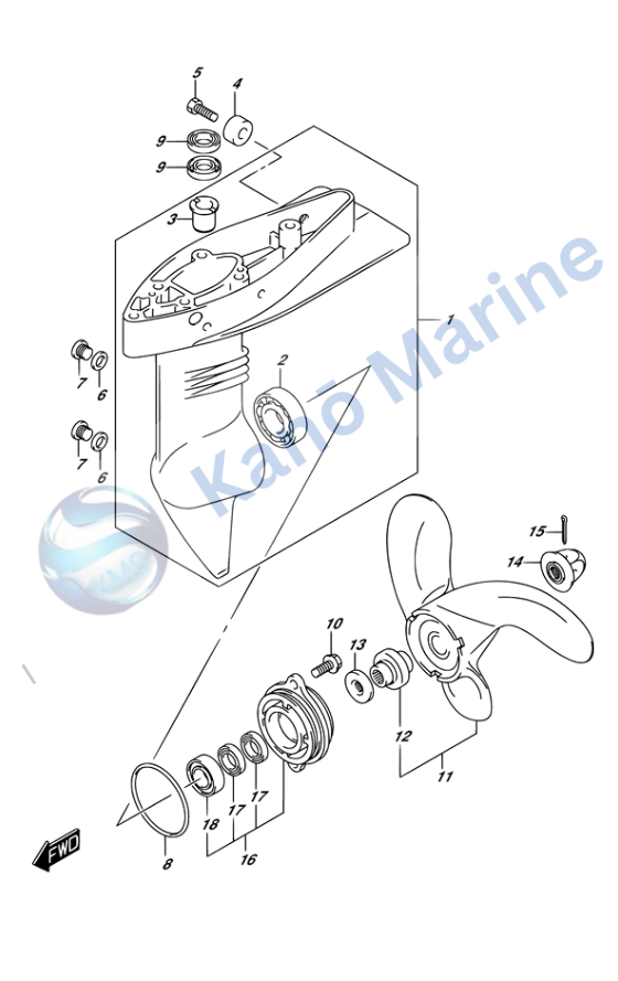 Suzuki DF2.5 Gear Case Diagram